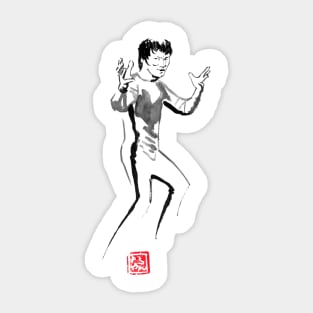 kung fu Sticker